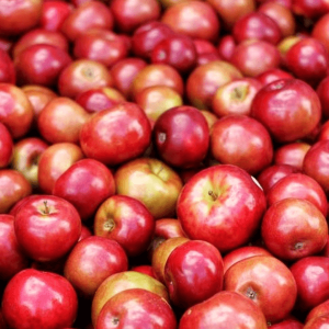 Pommes Starkin 1kg