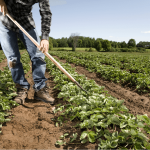LAGRO : Fruits et légumes frais et produits organiques