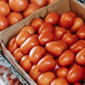 BIO petites tomates 1kg