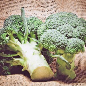 Brocoli, variété parthénon. Prêt fin février. Environ 50 000 kg directement de l'agriculteur.