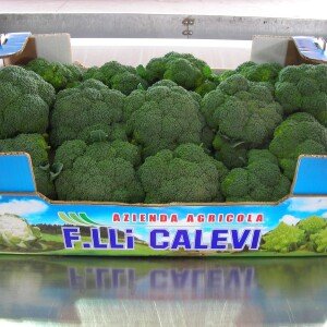 Chou brocoli