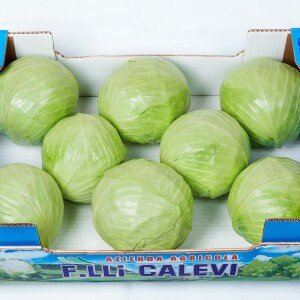 Chou vert