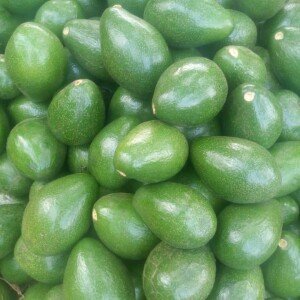 Avocats Hass Frais Classe 1 kg
