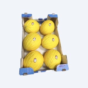 Melon jaune canari