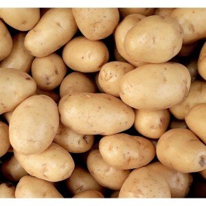 Pommes de terre bio grecques 1kg