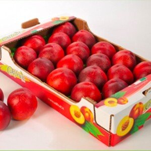 Pêches/Nectarines
