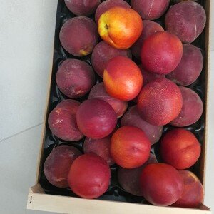 Nectarines de différentes qualités.