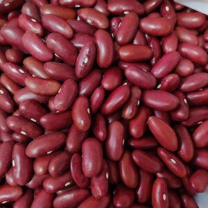 Haricots Rouges 1 Conteneur 24'