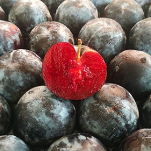 Prunes italiennes